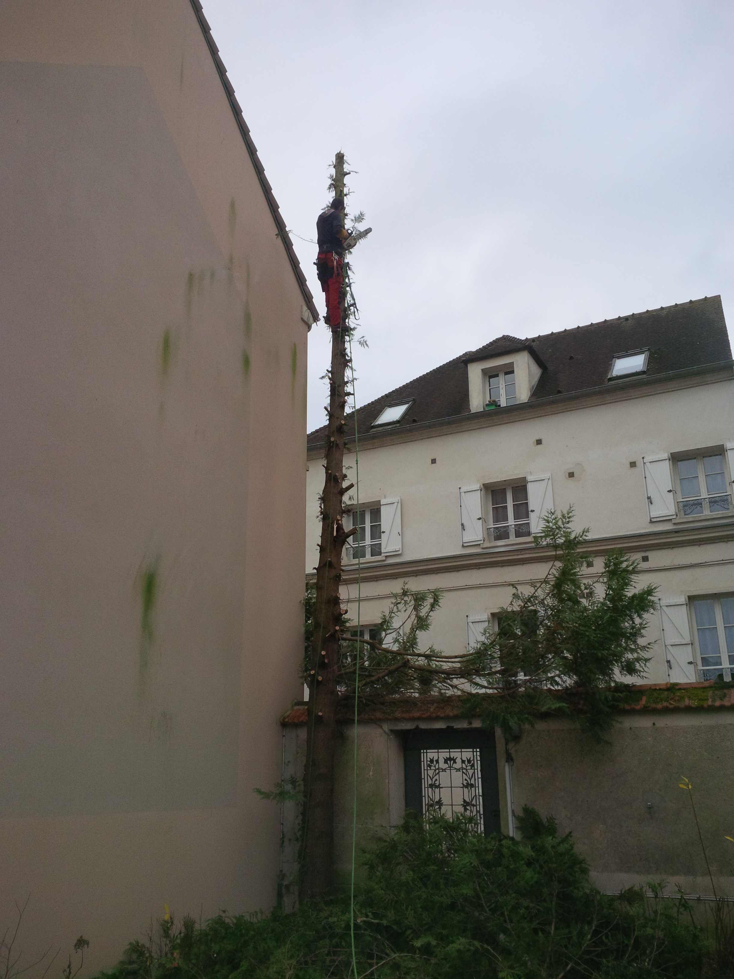 elagage abattage Chezy sur marne 02570